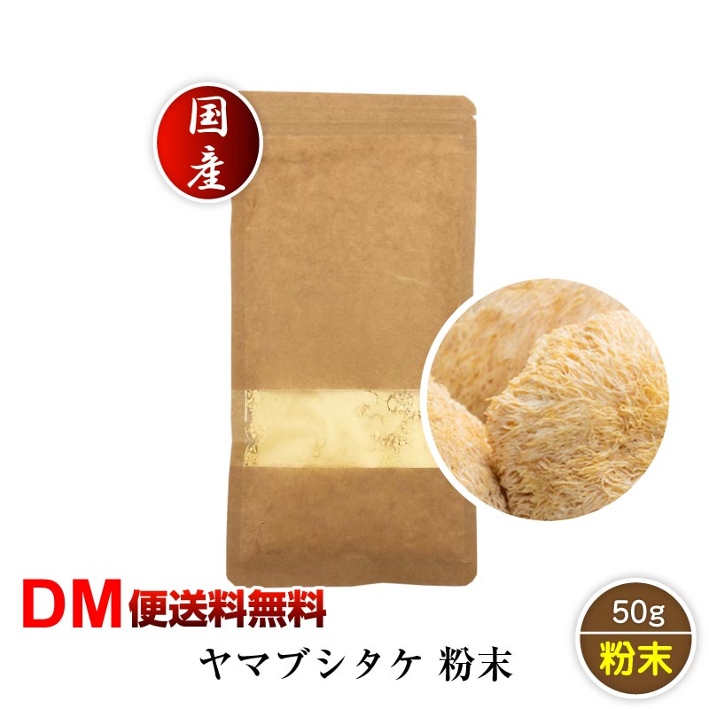 【DM便送料無料】国産 ヤマブシタケ 粉末 50g 山伏茸 パウダー 菌活 やまぶしたけ きのこ キノコ スーパーフード 珍味 パウダー 栄養 高級 食材 あさイチ 令和 敬老の日