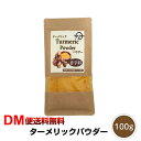 【DM便送料無料】ターメリックパウ