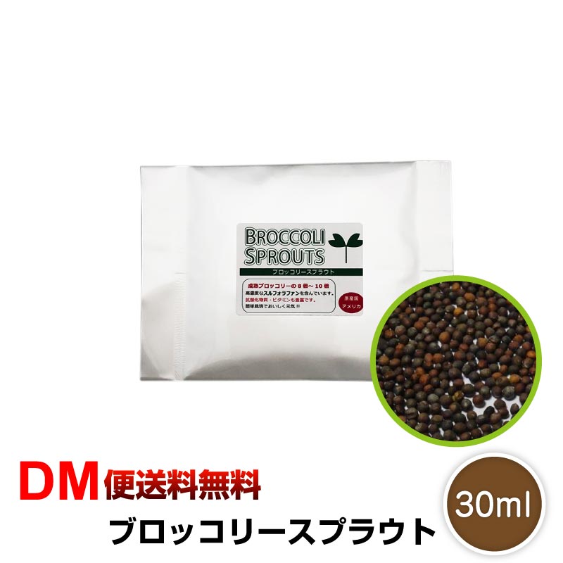 【DM便送料無料】ブロッコリースプラウト 30ml 種 タネ ブロッコリー 飼育 たね ブロッコリー 花粉症 ..