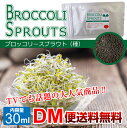 【DM便送料無料】ブロッコリースプラウト 30ml 種 タネ ブロッコリー 飼育 たね ブロッコリー 花粉症 花粉症対策 花粉 二日酔い 花粉症 野菜 料理 家庭菜園 花粉症