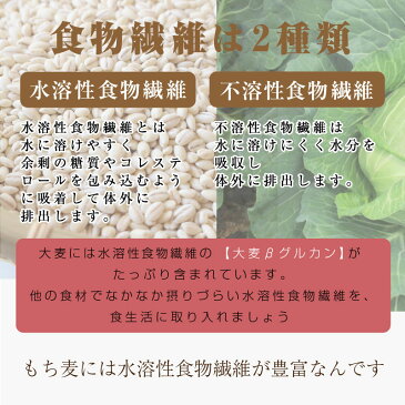 国産 もち麦 20kg (1kg×20個) もちむぎ ごはん 大麦 押麦 押し麦 米 穀物 食物繊維 送料無料 もち麦ごはん βグルガン ベストアメニティ 名医のTHE太鼓判