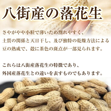 【DM便送料無料】落花生 薄皮付 いり豆 85g 落花生 ピーナッツ ミネラル摂取 ナカテユタカ 国産 千葉 八街 中手豊 煎り 煎り豆 ピーナツ ナッツ らっかせい 天日干し おつまみ 殻なし 皮付き 無塩 無添加 令和 主治医が見つかる診療所