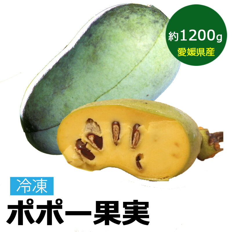 ポポー 幻の果実 1200g前後 冷凍 国産 果物 愛媛県 ぽぽー ポーポー アケビガキ カスタードアップル 名医のTHE太鼓判 【送料無料】のサムネイル