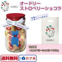 あす楽【送料無料】オードリー ストロベリーショコラ 150g AUDREY バレンタイン チョコレート バレンタインチョコ 瓶 いちご イチゴ フリーズドライ ギフト チョコ かわいい おしゃれ プレゼント