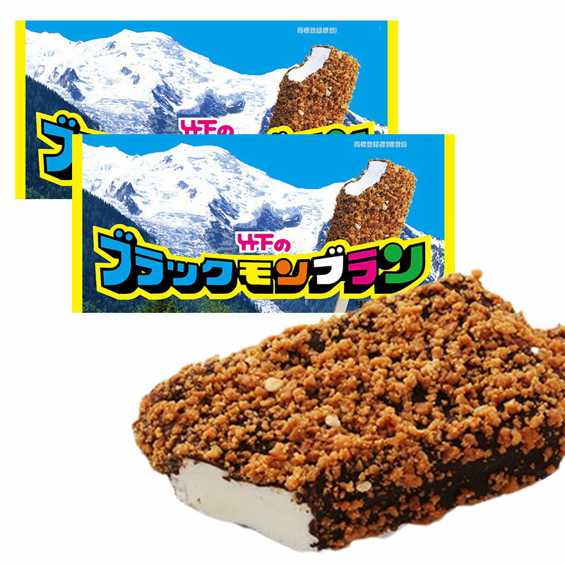 竹下製菓 ブラックモンブラン 2個セット 2袋 モンブラン チョコ アイス 九州 佐賀 クランチ アイスバー 冷凍 ご当地アイス 夏 お取り寄せ マツコの知らない世界のサムネイル