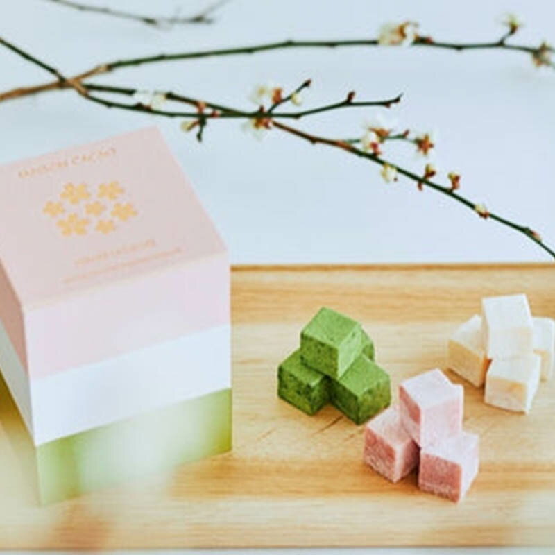 MAISON CACAO 生チョコレート HINAMATSURI ひなまつり 1個 冷蔵 2022 バレンタイン ホワイトデー お返し チョコレート チョコ お菓子 おしゃれ 本格