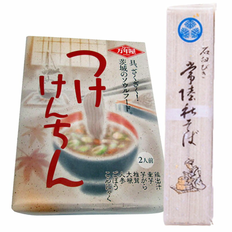 つけけんちん 常陸秋そば 茨城名物セット 2人前 けんちん汁 蕎麦 そば 茨城 麺 インスタント 秘密のケンミンショー