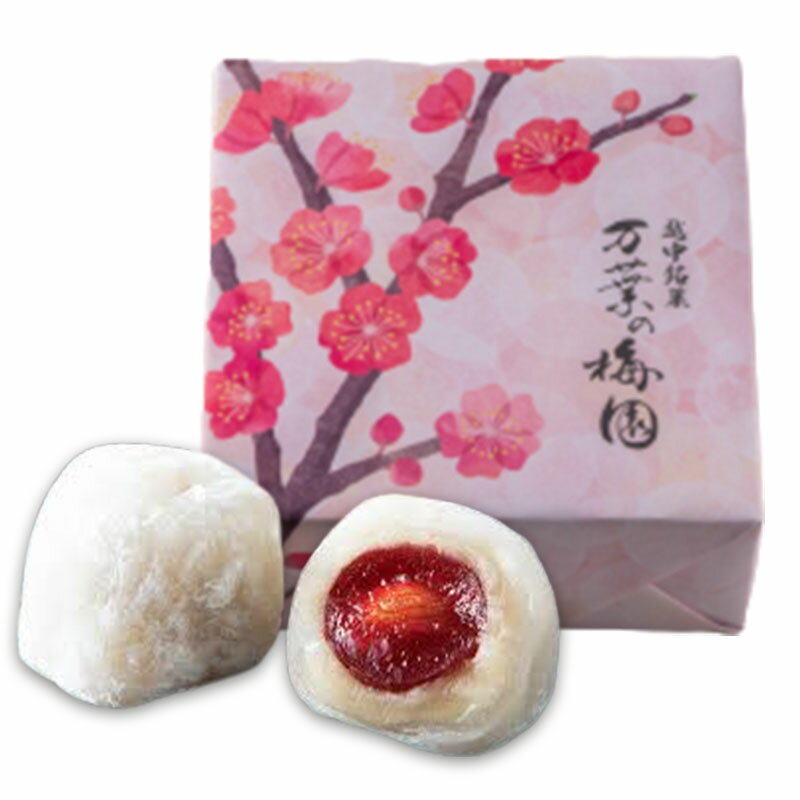 引網香月堂 万葉の梅園 1箱 4個入 伝統 和菓子 白餡 富山 マツコの知らない世界のサムネイル