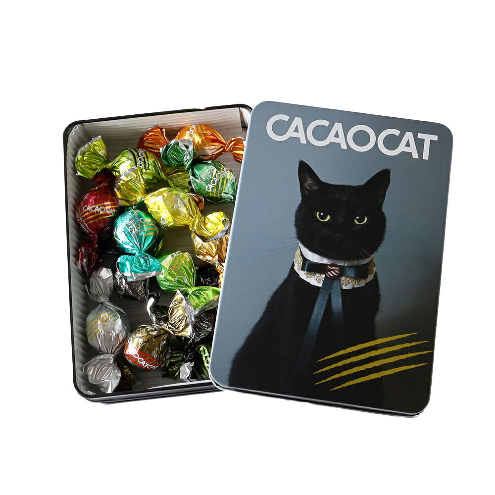 カカオキャット CACAOCAT缶 CAT 14個入×1缶 手提げ袋付き CACAOCAT チョコ チョコレート お菓子 ギフト かわいい 可愛い 猫 ねこ 2023 バレンタイン バレンタインデーのサムネイル