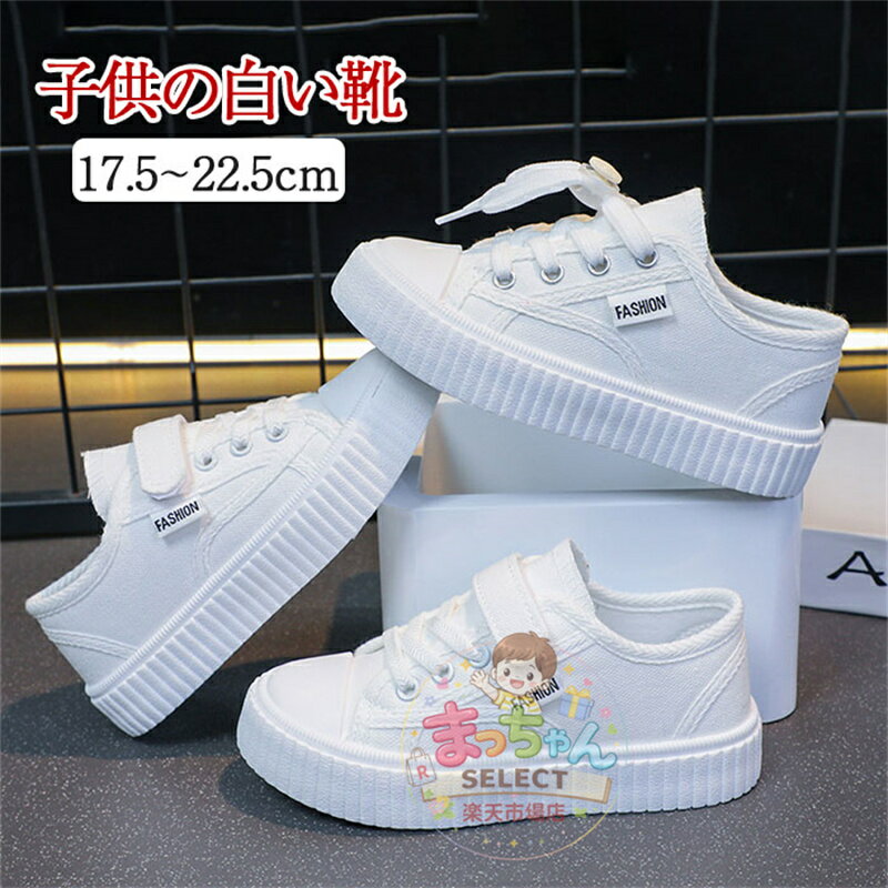 樂天商城 - キャンバススニーカー 白 こども靴 キッズ スニーカー キャンバス スニーカー 子供 スニーカー 子供靴 スポーツ 白靴 子供 キャンバスシ