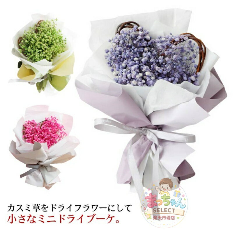 Rakuten - かすみ草 ドライフラワー カスミソウ ミニ ブーケ 花束 ギフト プレゼント ホワイトデー 誕生日 お祝い お返し 母の日 友達 おしゃれ かわいい 贈り物 送別 退職 卒業 開店 カスミ草 インテリア 新築祝い