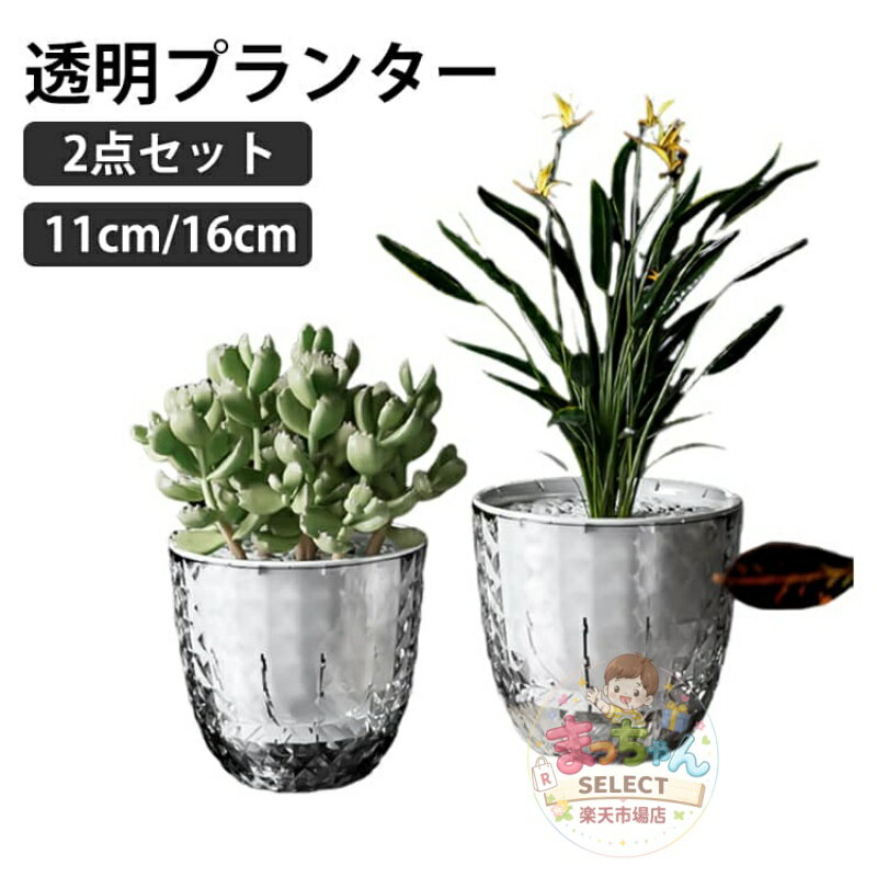 Rakuten - プランター 自動給水 胡蝶蘭鉢 多肉植物容器 11cm 16cm 鉢カバー 2点セット 透明プランター 室外 透明 ミニ観葉 室内 便利 ガーデニング 洋蘭ポット 鉢 屋内用プランター 植え替えセット 花 栽培 育苗鉢 プランター 屋外用植木鉢 プラスチック 乾燥防止 排水