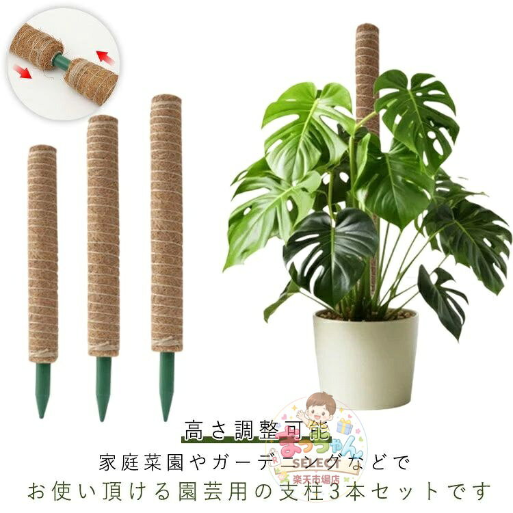 ココスティック モンステラ支柱 3本セット 植物支柱 ポトス 高さ調整可能 園芸支柱 花ささえ 連結可能 ココナッツ支柱 ガーデニング用 観葉支柱 植物サポート 観葉植物 農業用 農業用 メーカー希望小売価格はメーカーサイトに基づいて掲載しています