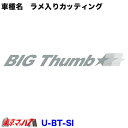 U-BT-SI カッティングステッカー ラメ入り UD ビッグサム シルバー ポスト投函 3S 在庫限り(2)