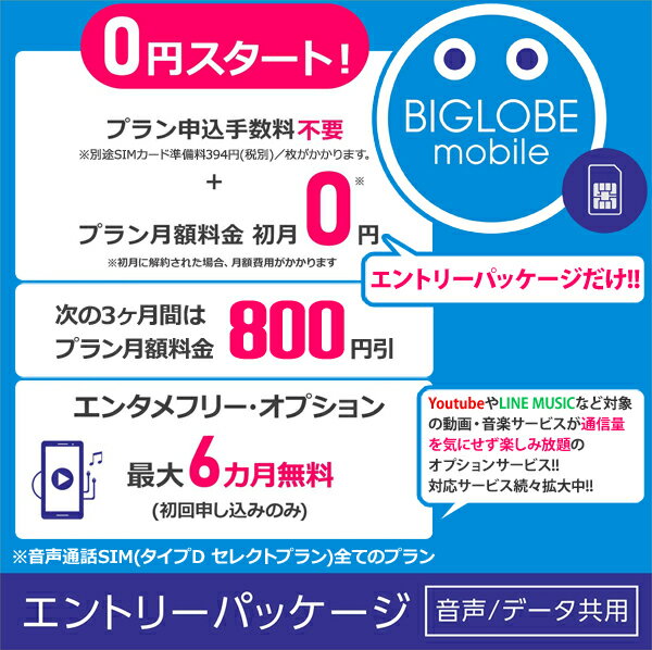 【メール便限定】BIGLOBE（ビッグローブ）モバイル エントリーパッケージ データSIM SMS機能付きデータ通信SIM 音声通話SIM【送料無料※沖縄除く】【smtb-u】【RCP】※※SIMカードは同梱されません※※ 格安SIM