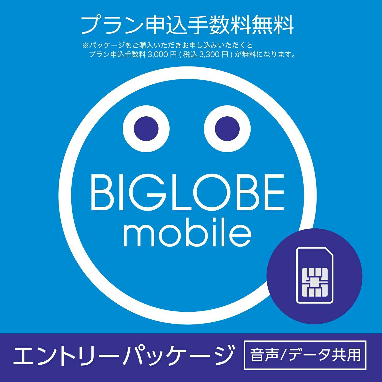 【メール便限定】BIGLOBE（ビッグローブ）モバイル エントリーパッケージ データSIM SMS機 ...