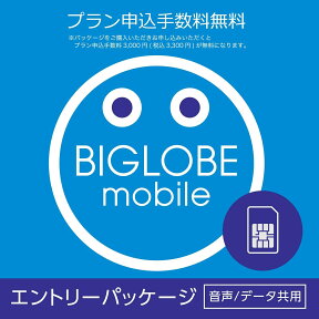 【メール便限定】BIGLOBE（ビッグローブ）モバイル エントリーパッケージ データSIM SMS機能付きデータ通信SIM 音声通話SIM【キャッシュバック】【ネコポス送料無料】※※SIMカードは同梱されません※※ 格安SIM