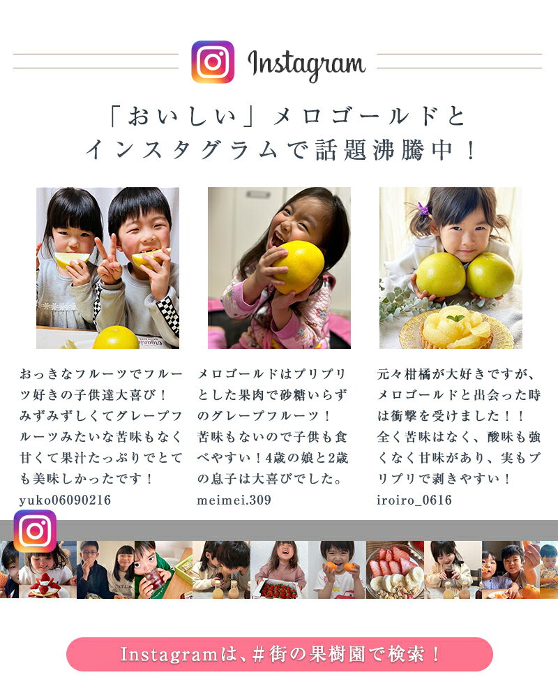 �ڤΤ��б��ġ�����̵�� ����ե���˥��� ���������� 7-9�� ��4.5kg ���졼�ץե롼�� �����֥��� ���ե� £�� �ץ쥼��� ��ˤ� �л��ˤ� �ե롼�ĥ��ե� ��12����ܺ����缡ȯ����