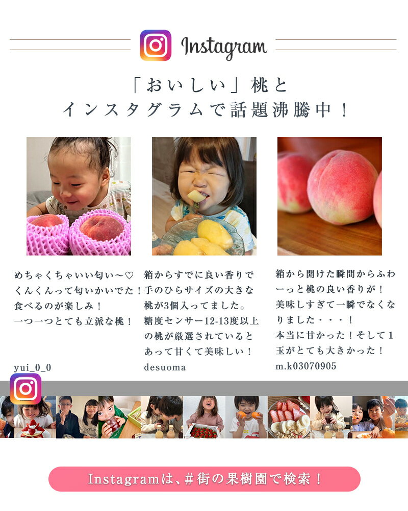 【糖度12度以上保障】【のし対応可】糖度12度以上選果 特秀 山梨県産 樹成りもも 3...