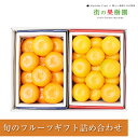 【のし対応可】送料無料佐賀県産 唐津 ハウスみかん 高知県産 山北 ハウスみかん詰め合わせ フルーツ ギフト 送料無料 手土産 出産祝 誕生日 お供 お礼 快気祝 お祝い 粗品 贈答 プレゼント 内祝い お中元 果物季節の果物 フルーツ くだもの(4)