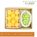 【のし対応可】 送料無料 佐賀県産 ハウスみかん 山梨 岡山県産 シャインマスカット詰め合わせフルーツ ギフト 送料無料 手土産 出産祝 誕生日 お供 お礼 快気祝 お祝い