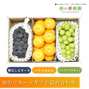 【のし対応可】 送料無料 山梨県産 種なしピオーネ 山梨県産 シャインマスカット 佐賀県産 ハウスみかん フルーツ ギフト 送料無料 出産祝 誕生日 お供 お...