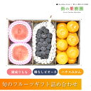 【のし対応可】送料無料 山梨県産 樹なり桃 岡山県産 種なしピオーネ 佐賀県産 ハウスみかん詰め合わせ 【沖縄・離島お届け不可】 フルーツ ギフト 送料無料 手...