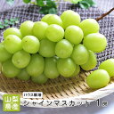 【のし対応可】【皮ごと食べれる】山梨県産 ハウス栽培 シャインマスカット 1房 約550g-600g シャインマスカット 送料無料 マスカット 種なし ブドウ ...