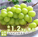 【のし対応可】皮ごと食べれる 送料無料 山梨県産 シャインマスカット 2房 マスカット 種なし ブドウ ギフト 贈答用 プレゼント お祝い 内祝い