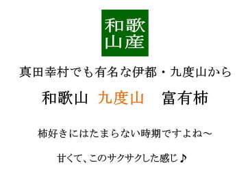 送料無料 和歌山県産 伊都 富有柿 8-11玉 約2.5kg 柿 富有柿 送料無料 富有柿 九度山 お歳暮 ギフト