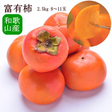 送料無料 和歌山県産 伊都 富有柿 8-11玉 約2.5kg 柿 富有柿 送料無料 富有柿 九度山 お歳暮 ギフト
