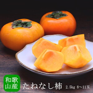 送料無料 和歌山県産 たねなし柿 秀品 8-11玉 約2.5kg 柿 種無し柿 種なし柿 たねなし柿 かき カキ 平核無柿 刀根柿 ギフト 贈答 プレゼント 内祝い 出産祝い