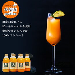 長崎県産味っ子ジュース化粧箱250ml×6本ギフト詰め合わせお土産果実ジュース