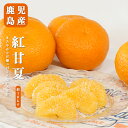 【のし対応可】 送料無料 鹿児島県産 紅甘夏 23-28玉 約10kg 甘夏みかん 送料無料 甘夏 贈答用 ギフト 贈答 プレゼント 内祝い 出産祝い フルーツ...