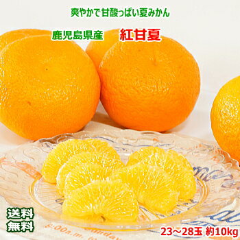 送料無料 鹿児島県産 紅甘夏 23-28玉 約10kg 甘夏みかん 送料無料 甘夏 贈答用 ギフト 贈答 プレゼント 内祝い 出産祝い フルーツギフト