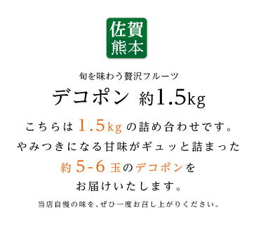 【送料無料】佐賀・熊本県産 デコポン5〜6玉　約1.5kg【デコポン 箱 でこぽん 贈答用 デコポン 佐賀】