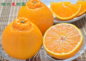 【送料無料】【12月10日頃より順次発送】佐賀県産 デコポン5〜6玉 約1.5kg【デコポン 箱 でこぽん 贈答用 デコポン 佐賀】