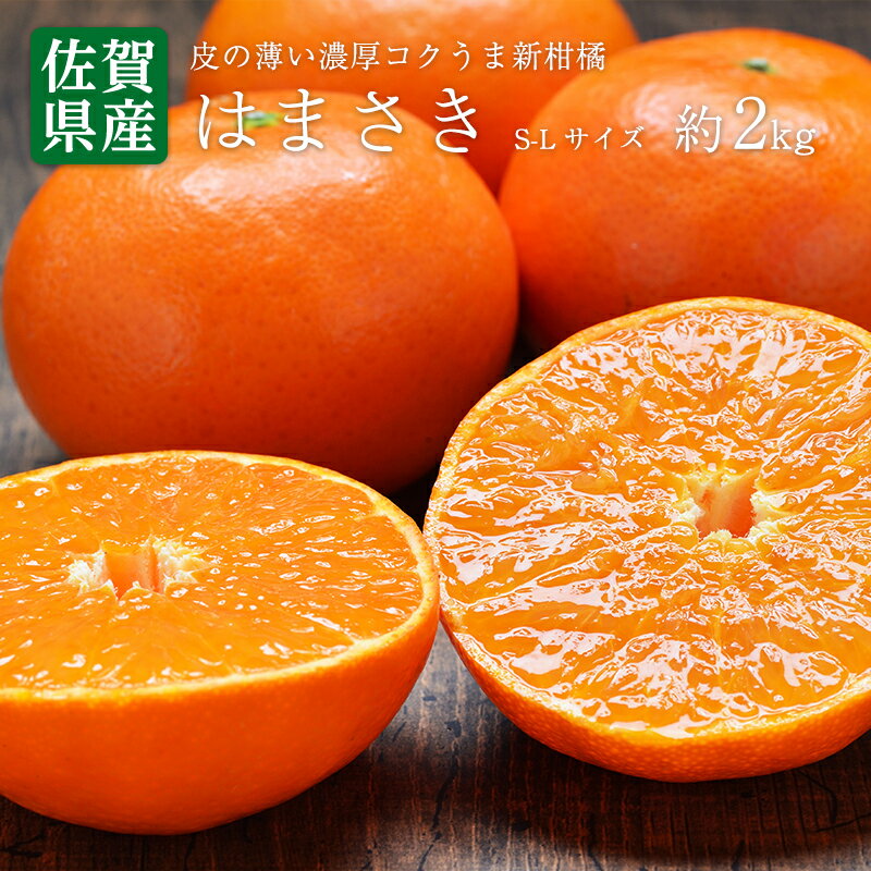 【のし対応可/インスタで話題！】 送料無料 佐賀県産 唐津 はまさき S-Mサイズ　約2kg はまさき みかん 佐賀 送料無料 贈答用 ギフト 贈答 プレゼント内祝い 出産祝い フルーツギフトのサムネイル