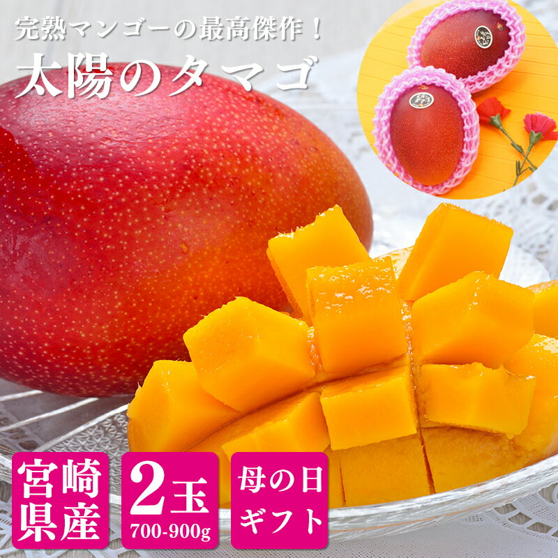 【のし対応可】 送料無料 母の日ギフト 宮崎県産 太陽のタマゴ（完熟マンゴー） 2Lサイズ 2玉 約700-900g 太陽のたまご マンゴー 母の日 ギフト プレゼント 贈答のサムネイル