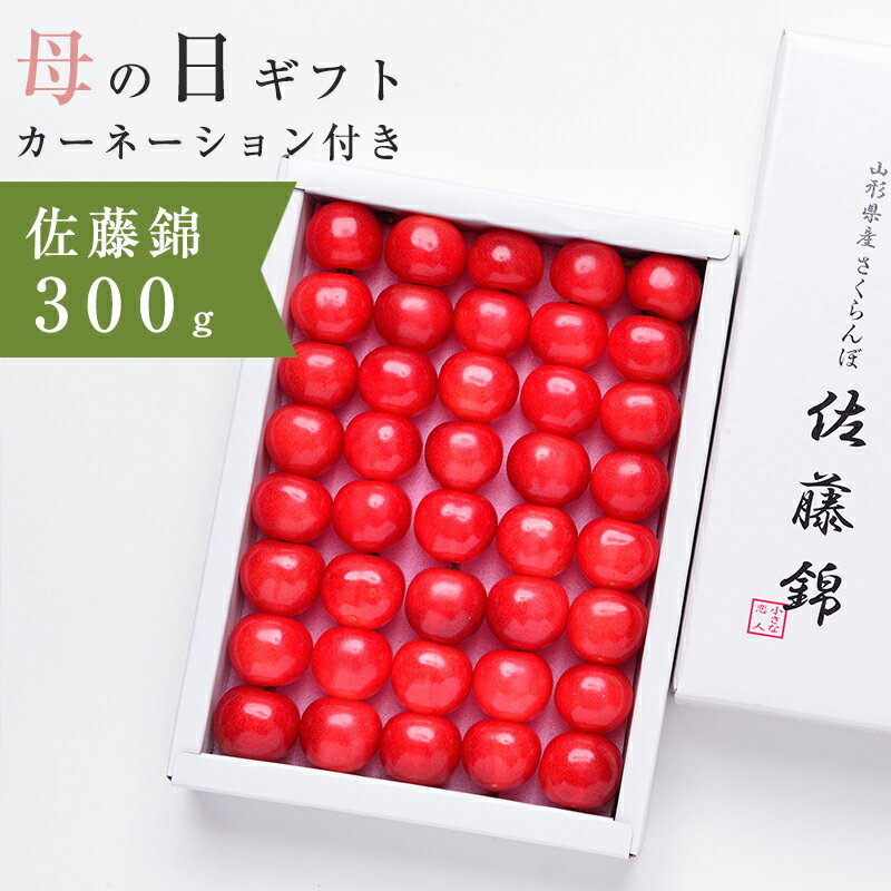 送料無料 寒河江より直送 母の日（造花付き）山形県産 さくらんぼ（佐藤錦）化粧箱 特秀 Lサイズ 300g 母の日 さくらんぼ 佐藤錦 母の日 サクランボ 佐藤錦 母の日 プレゼント 食べ物のサムネイル