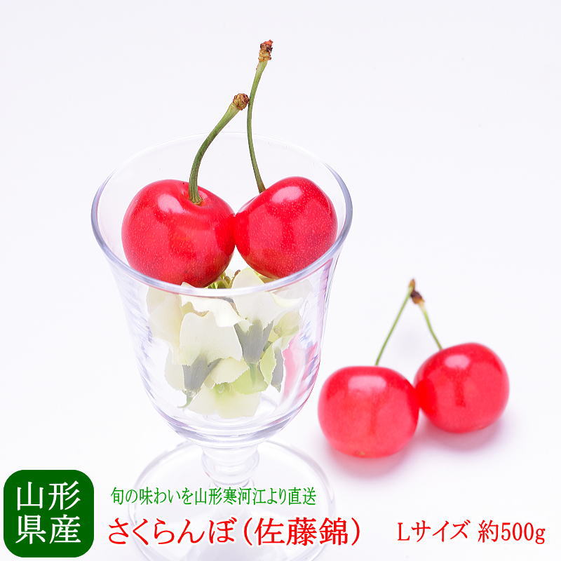送料無料 寒河江より直送 山形県産 さくらんぼ（佐藤錦） Lサイズ 約500g さくらんぼ 送料無料 贈答 プレゼント 内祝い 出産祝い フルーツギフト ギフト お中元 出産祝 お祝い 粗品 果物 季節の果物 フルーツ くだもののサムネイル