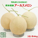 【送料無料】熊本県産 アールスメロン3玉　約4kg