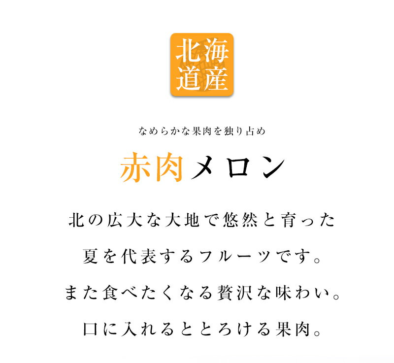 【のし対応可】 送料無料 北海道産 赤肉メロン 2玉 約2.6kgギフト 贈答 プレゼント 内祝い お中元