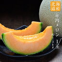 【のし対応可】 送料無料 北海道産 赤肉メロン 1玉 約1.3kgギフト 贈答 プレゼント 内祝い お中元