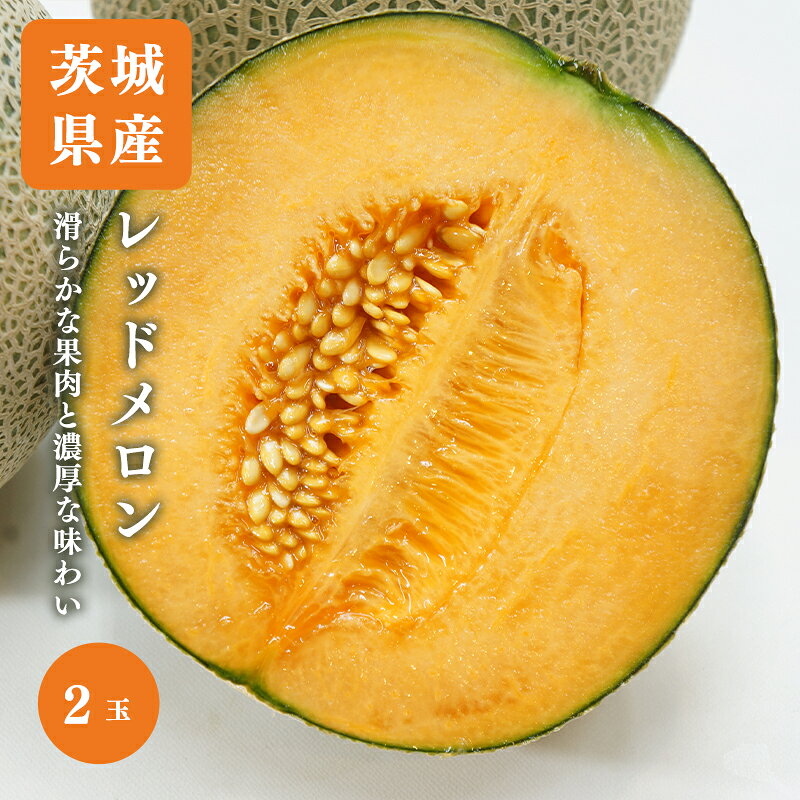 【のし対応可】 送料無料 茨城県産 レッド メロン 赤肉 2玉 約2kg メロン 茨城 贈答 プレゼントメロン 内祝い 出産祝い ギフト