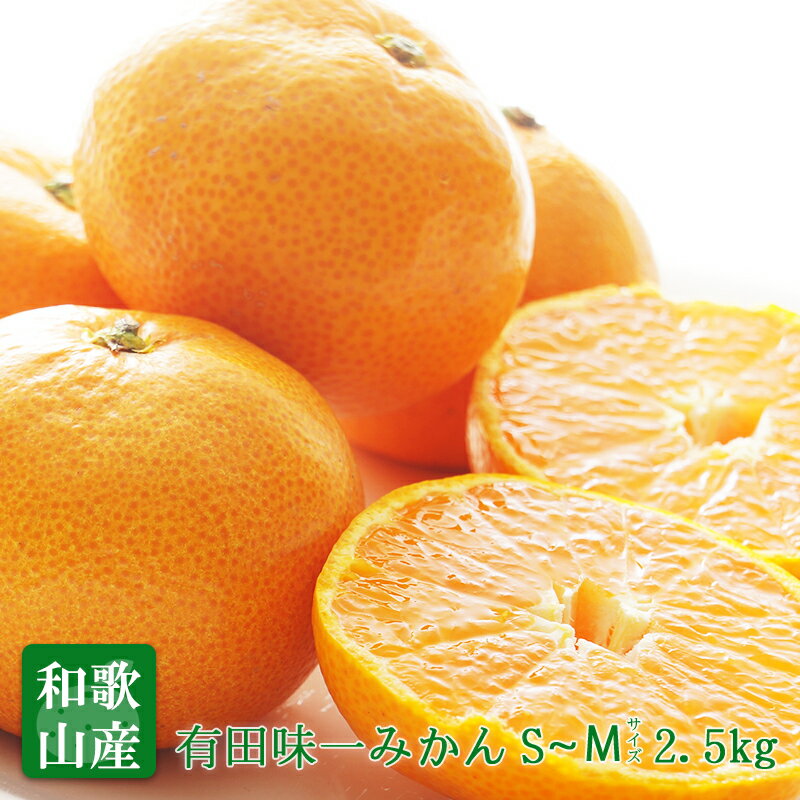 【のし対応可】送料無料 光センサー糖度保障 和歌山県産 有田 味一番みかん S-Mサイズ 約2.5kg みかん 送料無料 糖度 みかん お歳暮 お祝い お歳暮 ギフト フルーツギフトのサムネイル