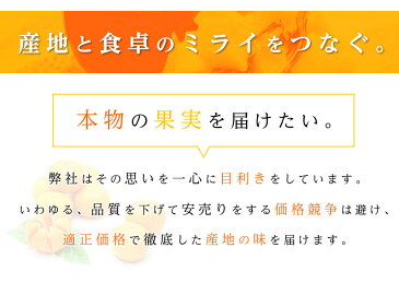 【送料無料】長崎県産 西海 味っ子みかん2Sサイズ 約2.5kg【味っ子 西海 みかん 送料無料 みかん 糖度 小粒みかん 高糖度 みかん 長崎 味っ子 西海みかん 小玉みかん お歳暮】