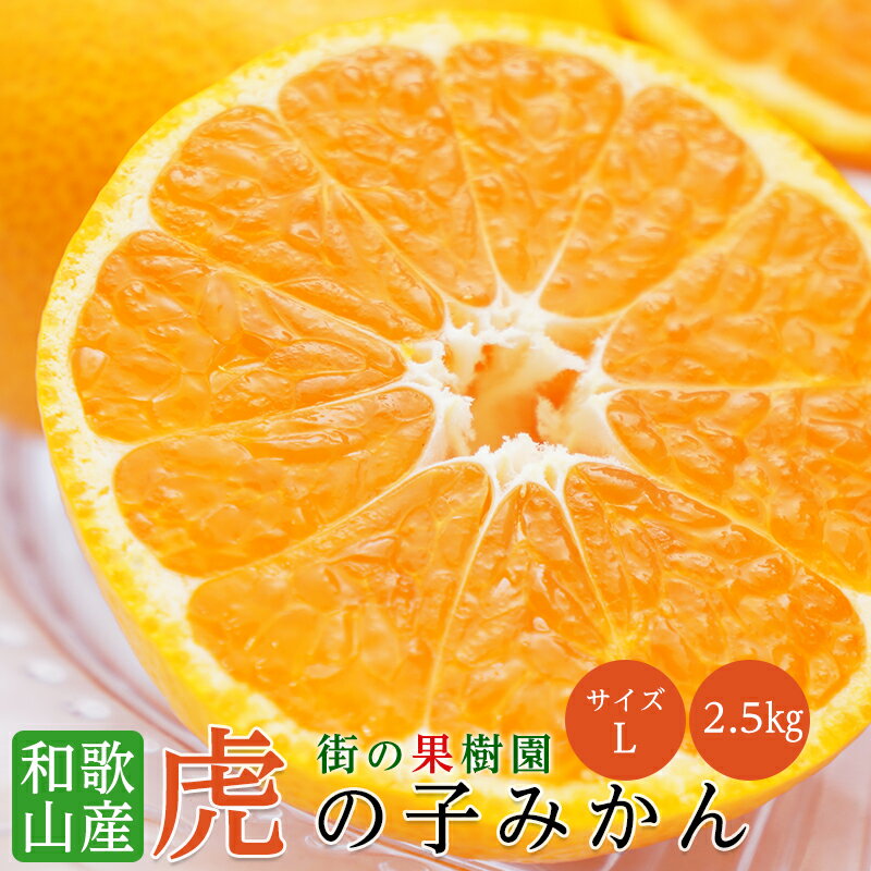 【のし対応可】 送料無料 和歌山県産 虎の子みかん Lサイズ 約2.5kg みかん ミカン みかん 糖度 和歌山みかん 送料無料 【11月下旬より順次発送】のサムネイル