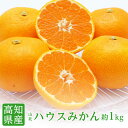 【のし対応可】送料無料 高知県産 山北 ハウスみかん S-Mサイズ 約1kg みかん 送料無料 みかん 糖度 ハウスミカン 贈答 プレゼント 内祝い 出産祝い ...