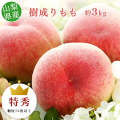 https://thumbnail.image.rakuten.co.jp/@0_mall/machika/cabinet/peach/kinarimomo/imgrc0104167585.jpg